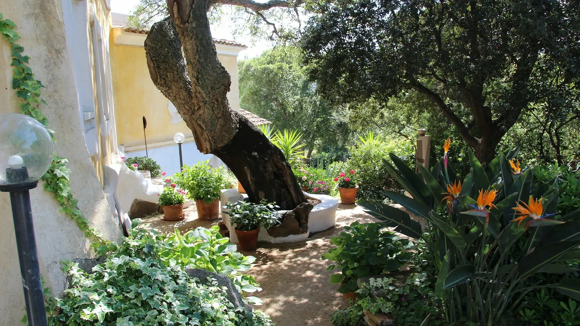 Casa rural Residenza Di Campagna Seranile Dorgali